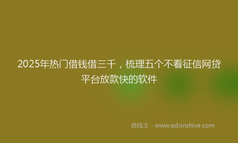 2025年热门借钱借三千，梳理五个不看征信网贷平台放款快的软件