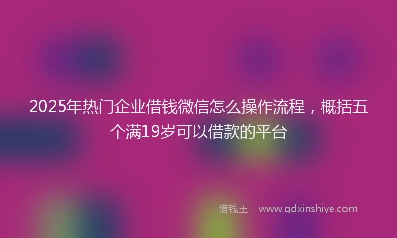 2025年热门企业借钱微信怎么操作流程，概括五个满19岁可以借款的平台
