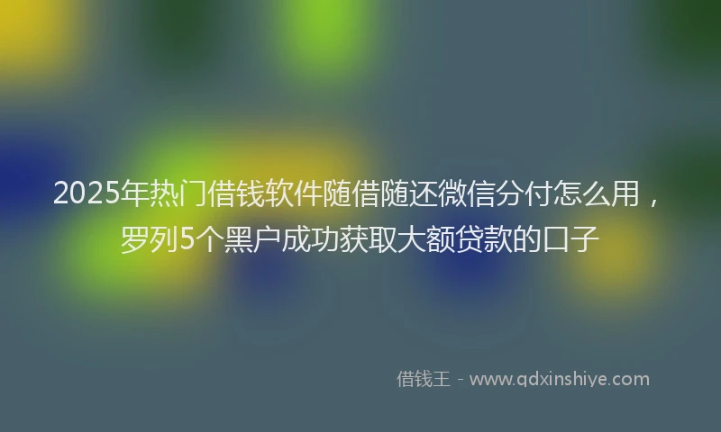 2025年热门借钱软件随借随还微信分付怎么用，罗列5个黑户成功获取大额贷款的口子