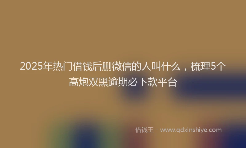 2025年热门借钱后删微信的人叫什么，梳理5个高炮双黑逾期必下款平台