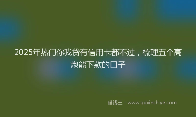 2025年热门你我贷有信用卡都不过，梳理五个高炮能下款的口子