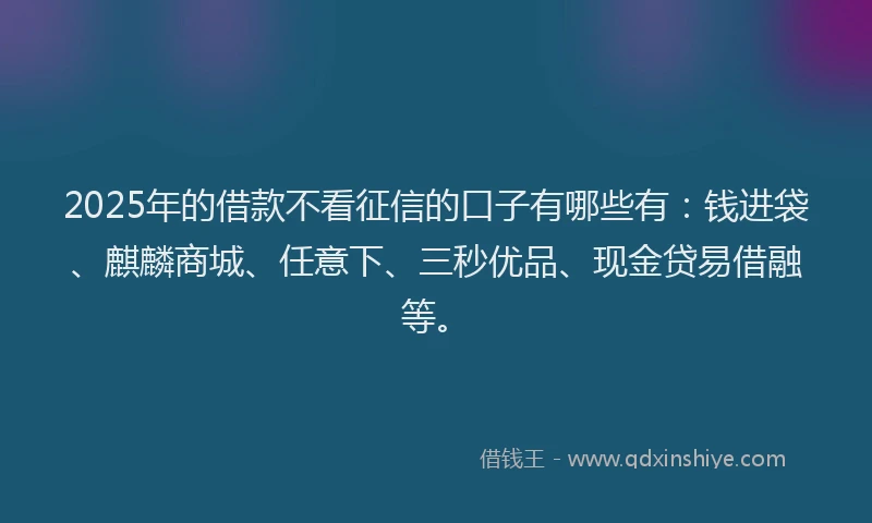 2025年的借款不看征信的口子有哪些有：钱进袋、麒麟商城、任意下、三秒优品、现金贷易借融等。