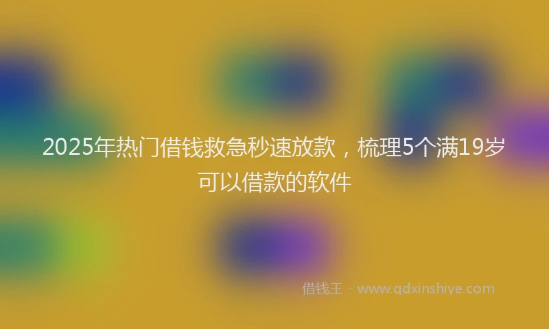 2025年热门借钱救急秒速放款，梳理5个满19岁可以借款的软件
