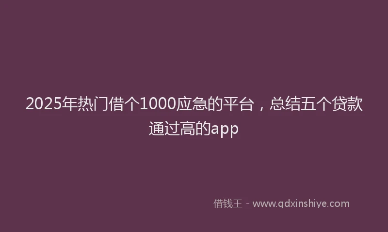 2025年热门借个1000应急的平台，总结五个贷款通过高的app