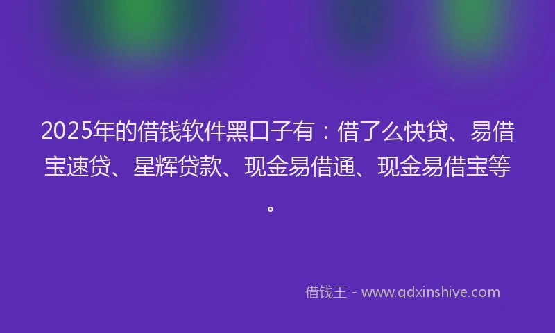 2025年的借钱软件黑口子有：借了么快贷、易借宝速贷、星辉贷款、现金易借通、现金易借宝等。