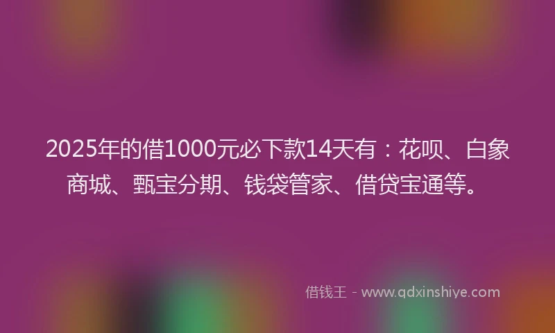 2025年的借1000元必下款14天有：花呗、白象商城、甄宝分期、钱袋管家、借贷宝通等。