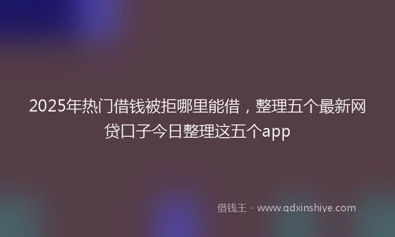 2025年热门借钱被拒哪里能借，整理五个最新网贷口子今日整理这五个app