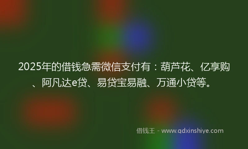 2025年的借钱急需微信支付有：葫芦花、亿享购、阿凡达e贷、易贷宝易融、万通小贷等。