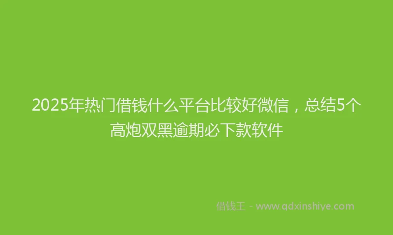 2025年热门借钱什么平台比较好微信，总结5个高炮双黑逾期必下款软件