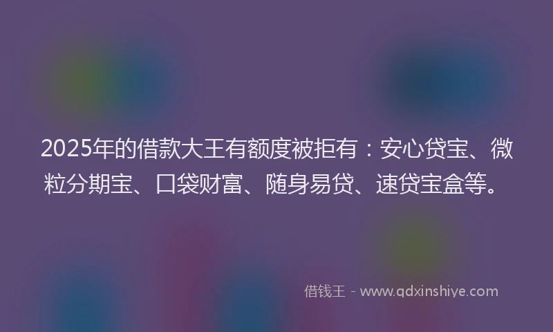 2025年的借款大王有额度被拒有：安心贷宝、微粒分期宝、口袋财富、随身易贷、速贷宝盒等。