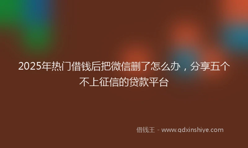 2025年热门借钱后把微信删了怎么办，分享五个不上征信的贷款平台