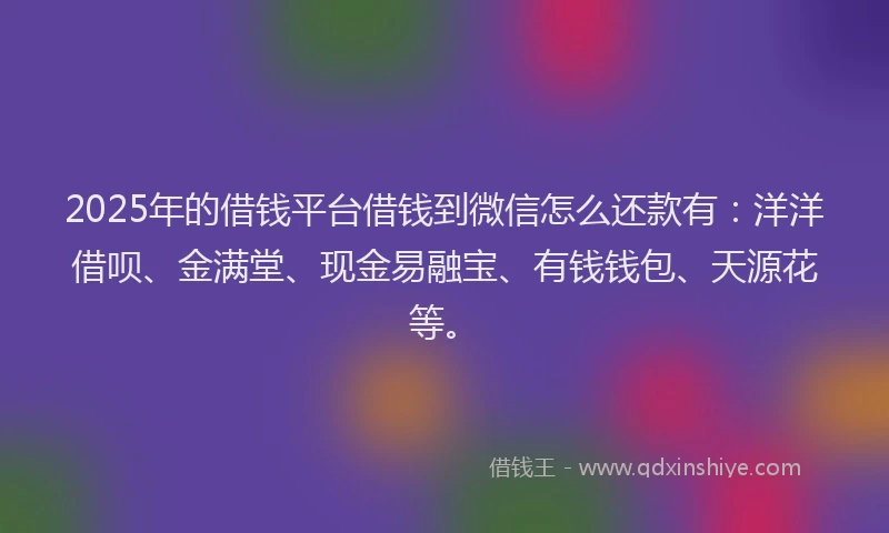 2025年的借钱平台借钱到微信怎么还款有：洋洋借呗、金满堂、现金易融宝、有钱钱包、天源花等。