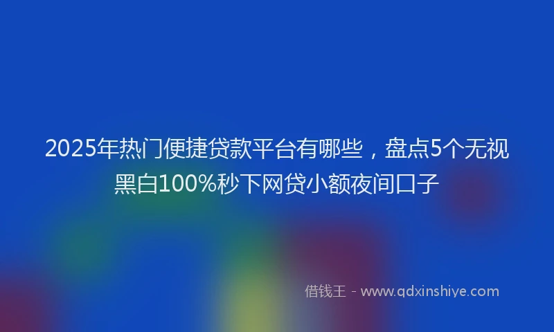 2025年热门便捷贷款平台有哪些，盘点5个无视黑白100%秒下网贷小额夜间口子
