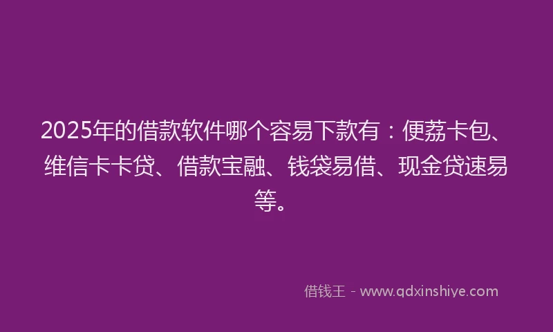 2025年的借款软件哪个容易下款有：便荔卡包、维信卡卡贷、借款宝融、钱袋易借、现金贷速易等。