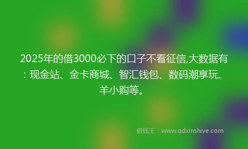 2025年的借3000必下的口子不看征信,大数据有：现金站、金卡商城、智汇钱包、数码潮享玩、羊小购等。