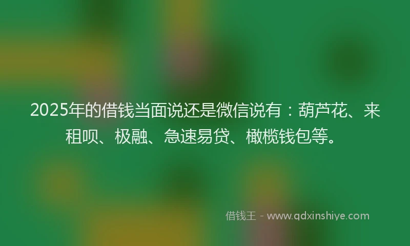 2025年的借钱当面说还是微信说有：葫芦花、来租呗、极融、急速易贷、橄榄钱包等。