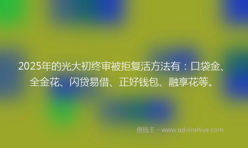 2025年的光大初终审被拒复活方法有：口袋金、全金花、闪贷易借、正好钱包、融享花等。