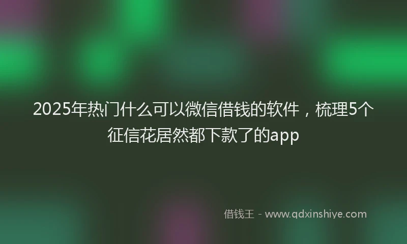 2025年热门什么可以微信借钱的软件，梳理5个征信花居然都下款了的app