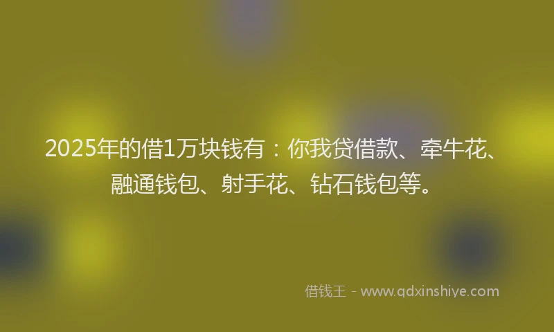 2025年的借1万块钱有：你我贷借款、牵牛花、融通钱包、射手花、钻石钱包等。