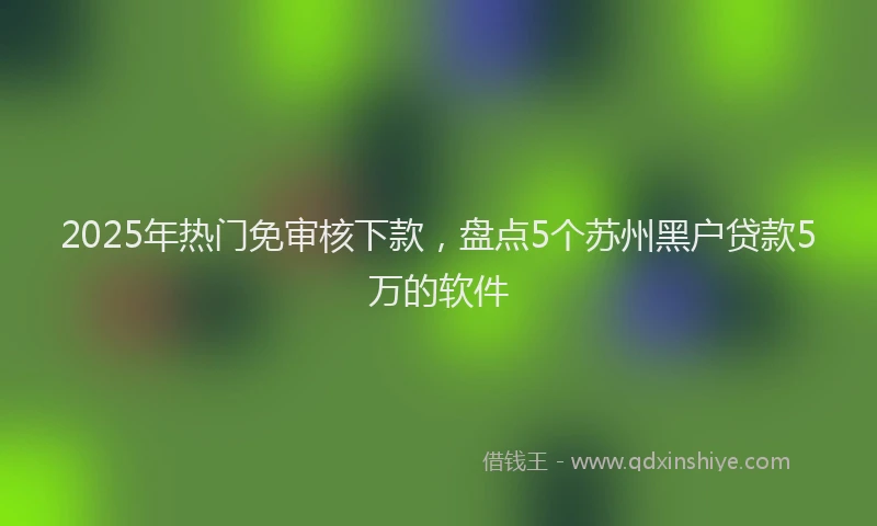 2025年热门免审核下款，盘点5个苏州黑户贷款5万的软件