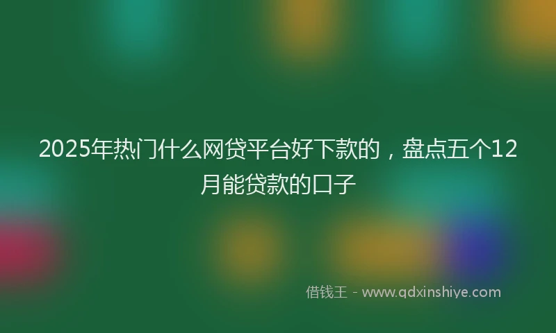 2025年热门什么网贷平台好下款的，盘点五个12月能贷款的口子