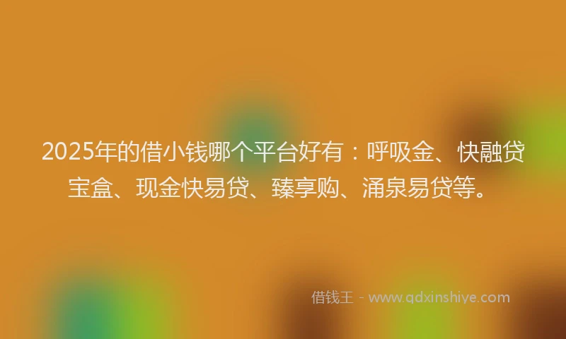 2025年的借小钱哪个平台好有：呼吸金、快融贷宝盒、现金快易贷、臻享购、涌泉易贷等。