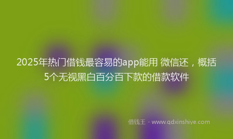 2025年热门借钱最容易的app能用 微信还，概括5个无视黑白百分百下款的借款软件