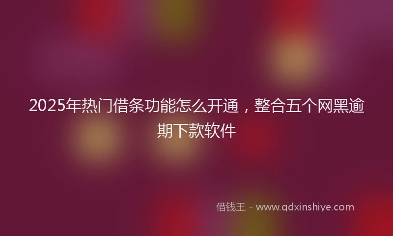 2025年热门借条功能怎么开通，整合五个网黑逾期下款软件