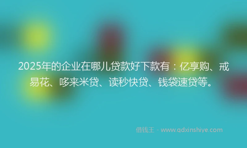 2025年的企业在哪儿贷款好下款有：亿享购、戒易花、哆来米贷、读秒快贷、钱袋速贷等。