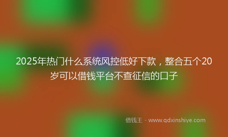 2025年热门什么系统风控低好下款，整合五个20岁可以借钱平台不查征信的口子