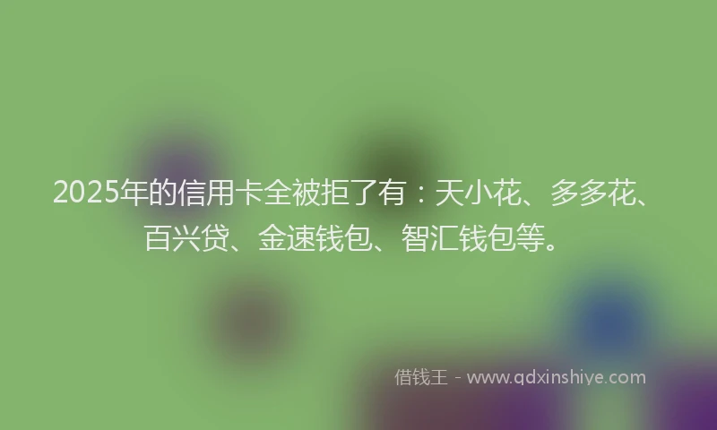 2025年的信用卡全被拒了有：天小花、多多花、百兴贷、金速钱包、智汇钱包等。