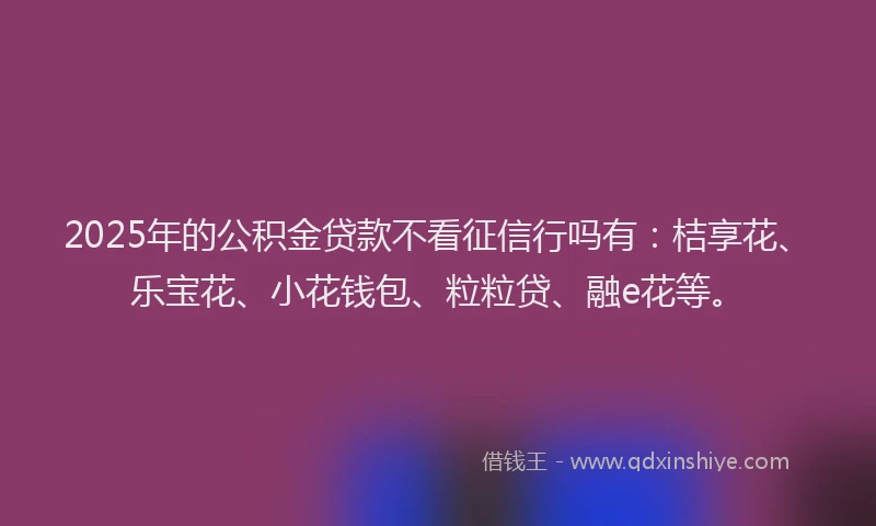 2025年的公积金贷款不看征信行吗有：桔享花、乐宝花、小花钱包、粒粒贷、融e花等。