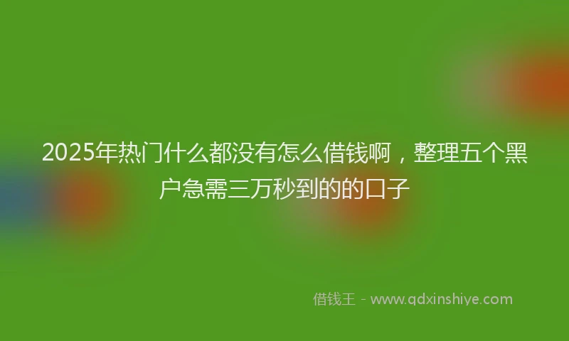 2025年热门什么都没有怎么借钱啊，整理五个黑户急需三万秒到的的口子