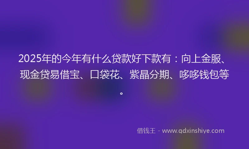 2025年的今年有什么贷款好下款有：向上金服、现金贷易借宝、口袋花、紫晶分期、哆哆钱包等。