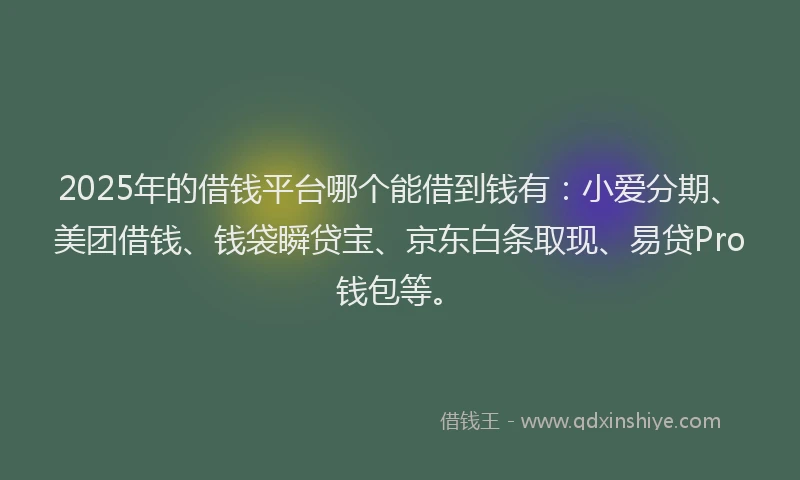 2025年的借钱平台哪个能借到钱有：小爱分期、美团借钱、钱袋瞬贷宝、京东白条取现、易贷Pro钱包等。