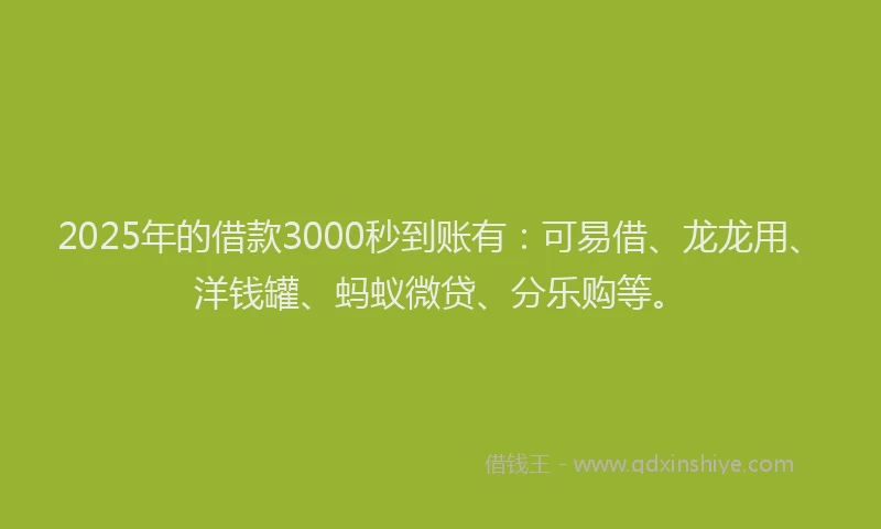 2025年的借款3000秒到账有：可易借、龙龙用、洋钱罐、蚂蚁微贷、分乐购等。