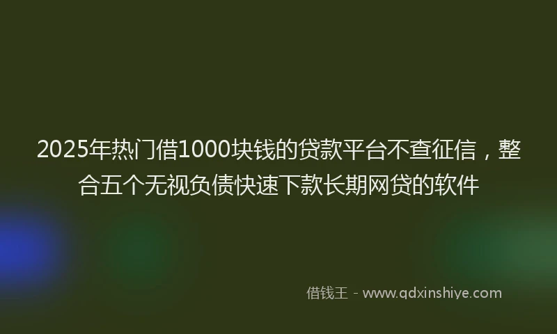 2025年热门借1000块钱的贷款平台不查征信，整合五个无视负债快速下款长期网贷的软件
