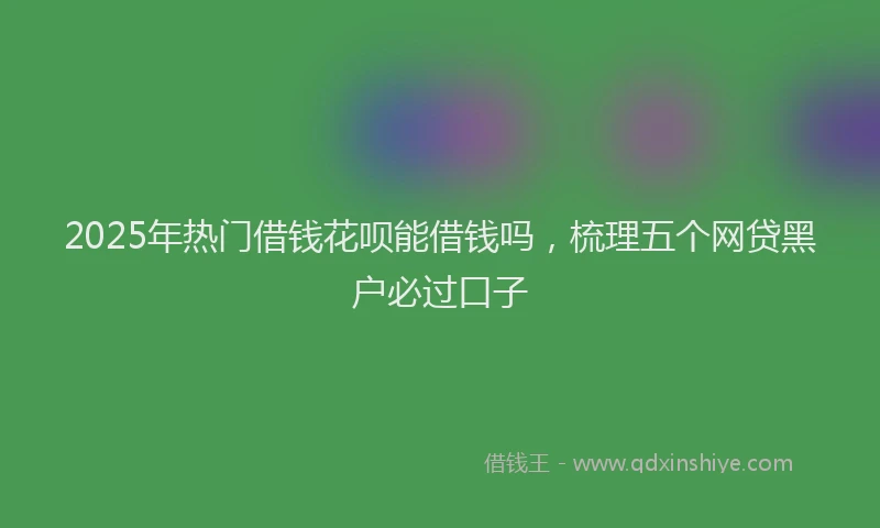2025年热门借钱花呗能借钱吗，梳理五个网贷黑户必过口子