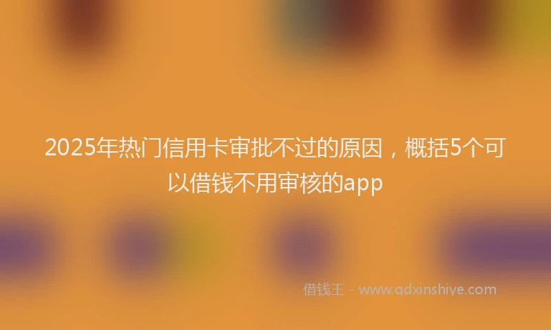 2025年热门信用卡审批不过的原因，概括5个可以借钱不用审核的app