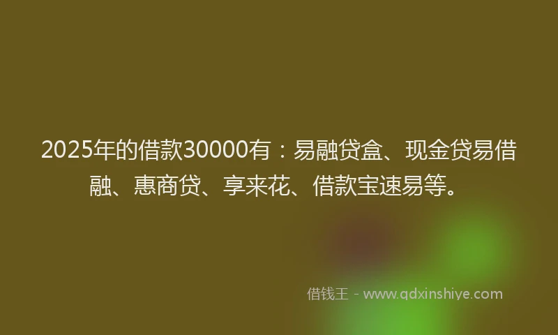 2025年的借款30000有：易融贷盒、现金贷易借融、惠商贷、享来花、借款宝速易等。