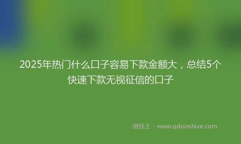 2025年热门什么口子容易下款金额大，总结5个快速下款无视征信的口子