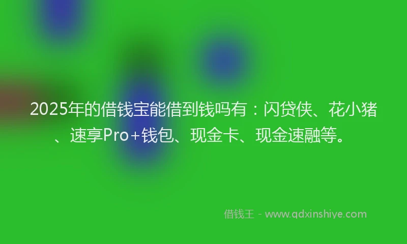 2025年的借钱宝能借到钱吗有：闪贷侠、花小猪、速享Pro+钱包、现金卡、现金速融等。