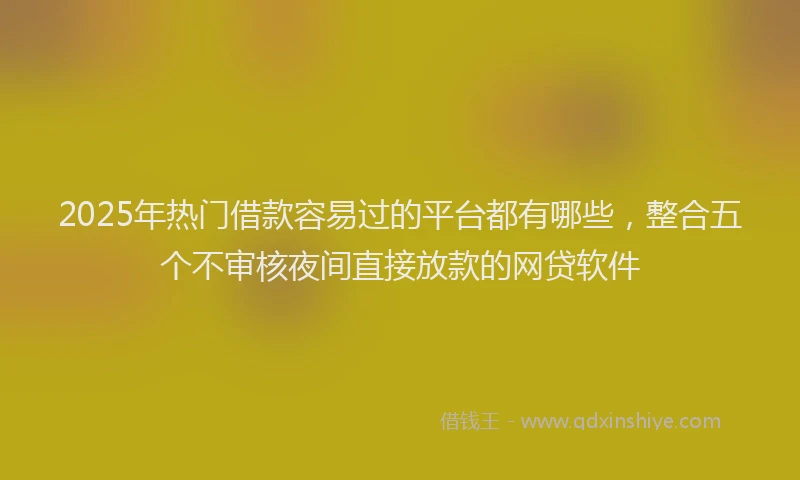 2025年热门借款容易过的平台都有哪些，整合五个不审核夜间直接放款的网贷软件