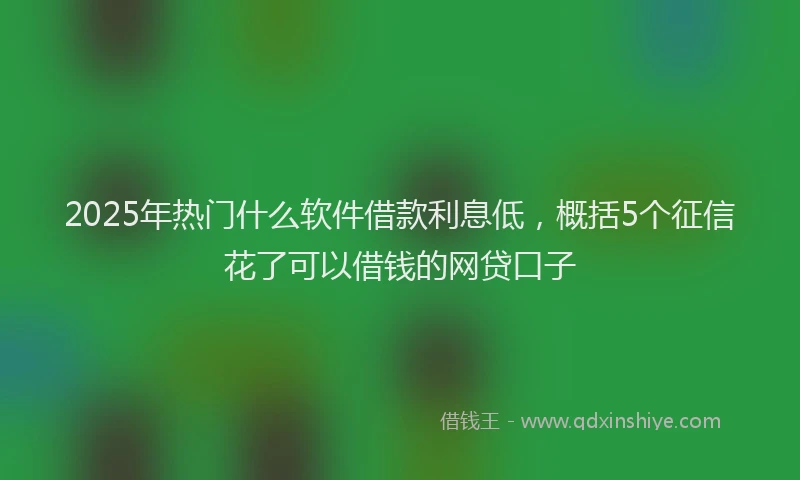 2025年热门什么软件借款利息低，概括5个征信花了可以借钱的网贷口子