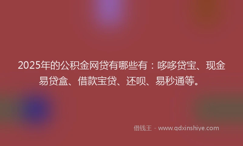 2025年的公积金网贷有哪些有：哆哆贷宝、现金易贷盒、借款宝贷、还呗、易秒通等。