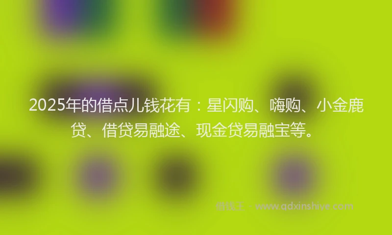 2025年的借点儿钱花有：星闪购、嗨购、小金鹿贷、借贷易融途、现金贷易融宝等。