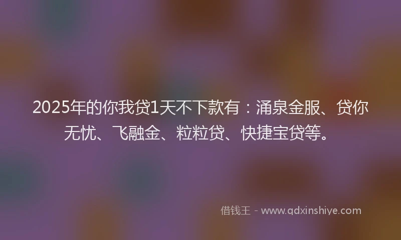 2025年的你我贷1天不下款有：涌泉金服、贷你无忧、飞融金、粒粒贷、快捷宝贷等。
