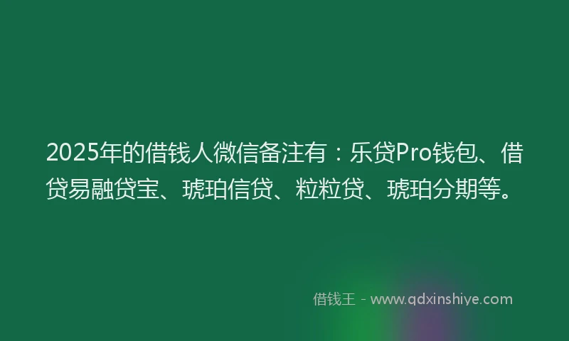 2025年的借钱人微信备注有：乐贷Pro钱包、借贷易融贷宝、琥珀信贷、粒粒贷、琥珀分期等。