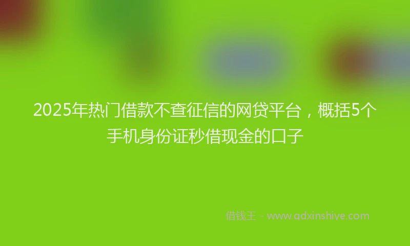 2025年热门借款不查征信的网贷平台，概括5个手机身份证秒借现金的口子