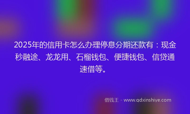 2025年的信用卡怎么办理停息分期还款有：现金秒融途、龙龙用、石榴钱包、便捷钱包、信贷通速借等。